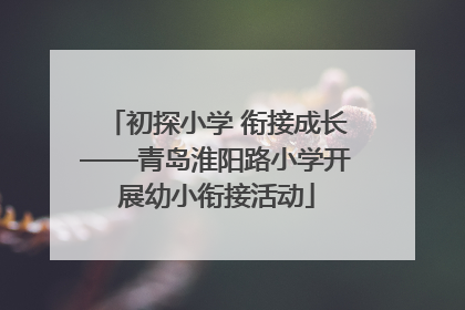初探小学 衔接成长——青岛淮阳路小学开展幼小衔接活动